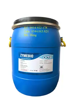 Enzyme Cellulase phân hủy gốc rạ, xác tảo, tăng đề kháng vật nuôi
