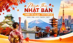 Mùa thu Nhật Bản có gì đẹp? Nên đi đâu để ăn ngon, check-in đẹp?