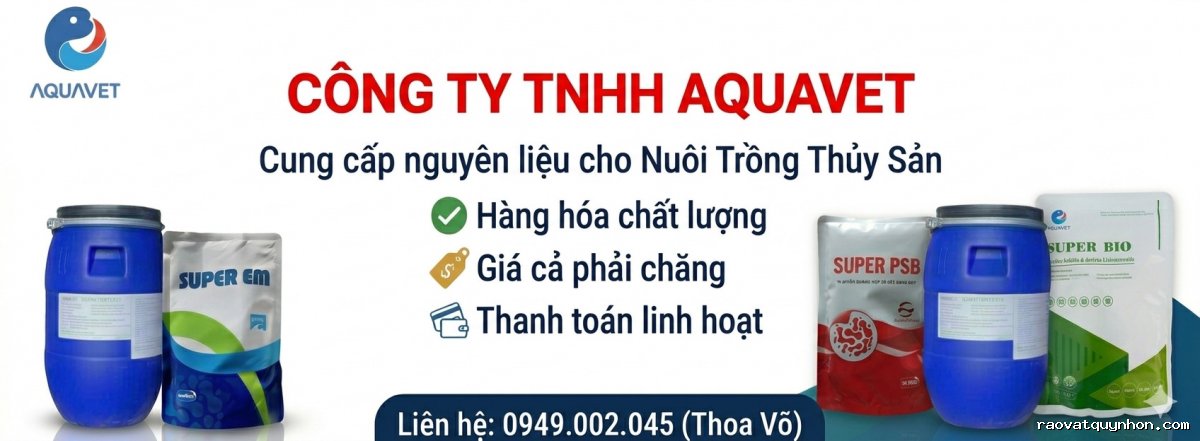 Ảnh bìa